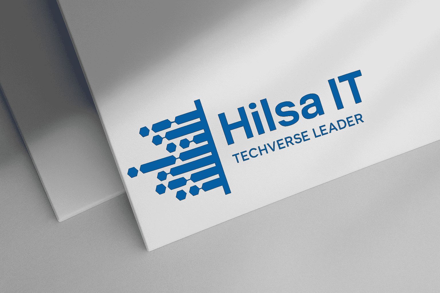 HilsaIT Team